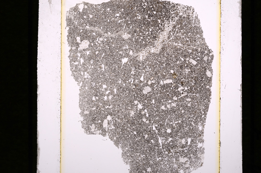 Plane Polarized, E10201