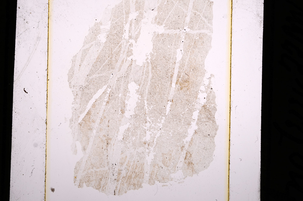 Plane Polarized, E10357