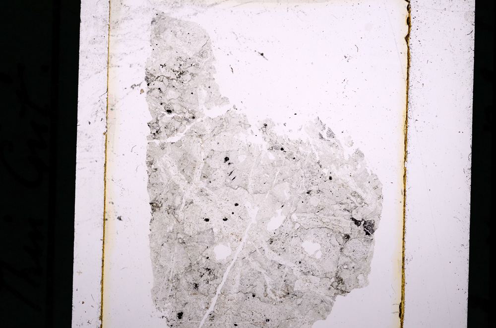Plane Polarized, E10417