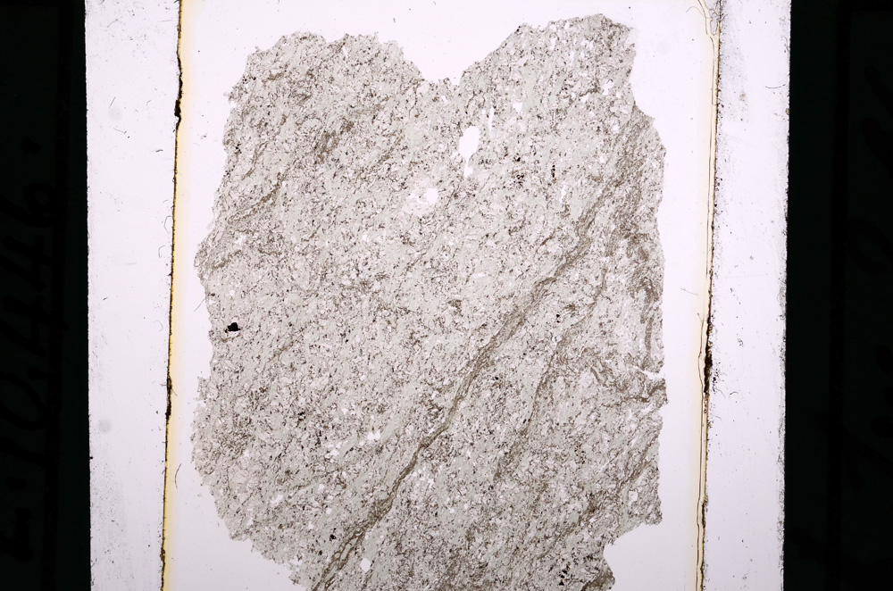 Plane Polarized, E10446