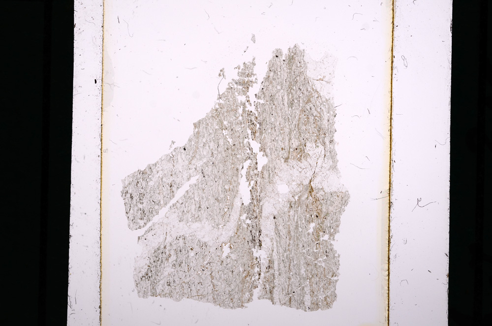Plane Polarized, E10542