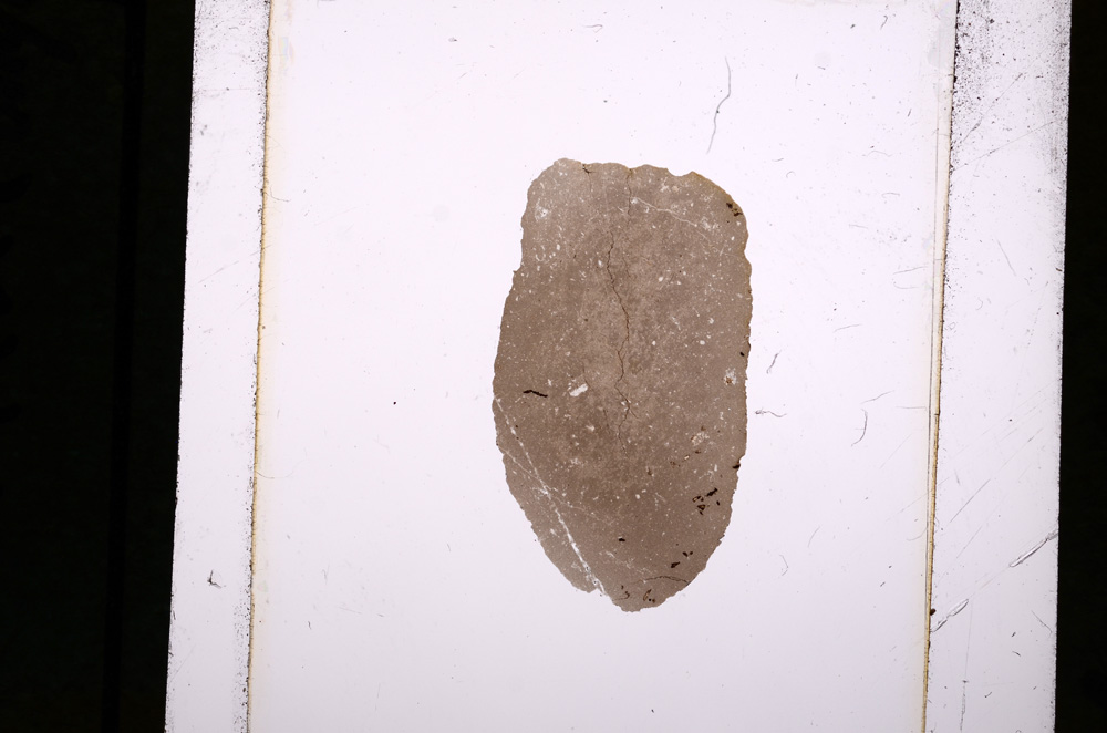Plane Polarized, E10547
