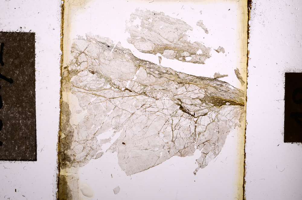 Plane Polarized, E10642