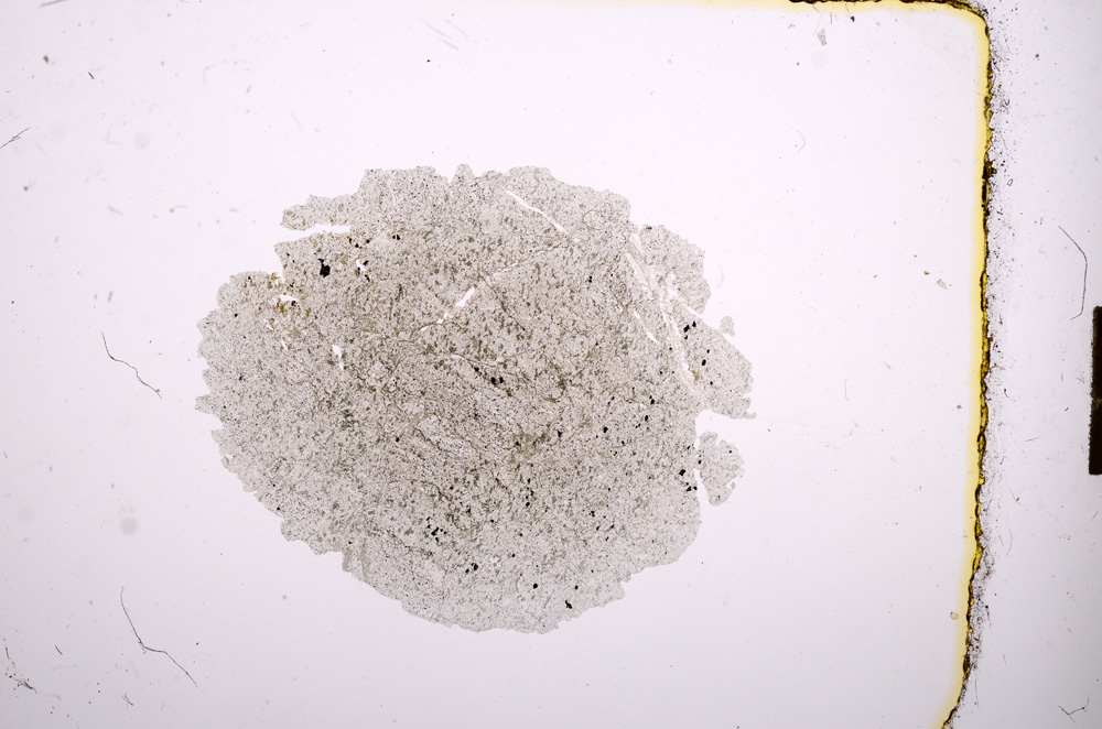 Plane Polarized, E10682