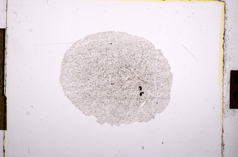 Plane Polarized, E10684