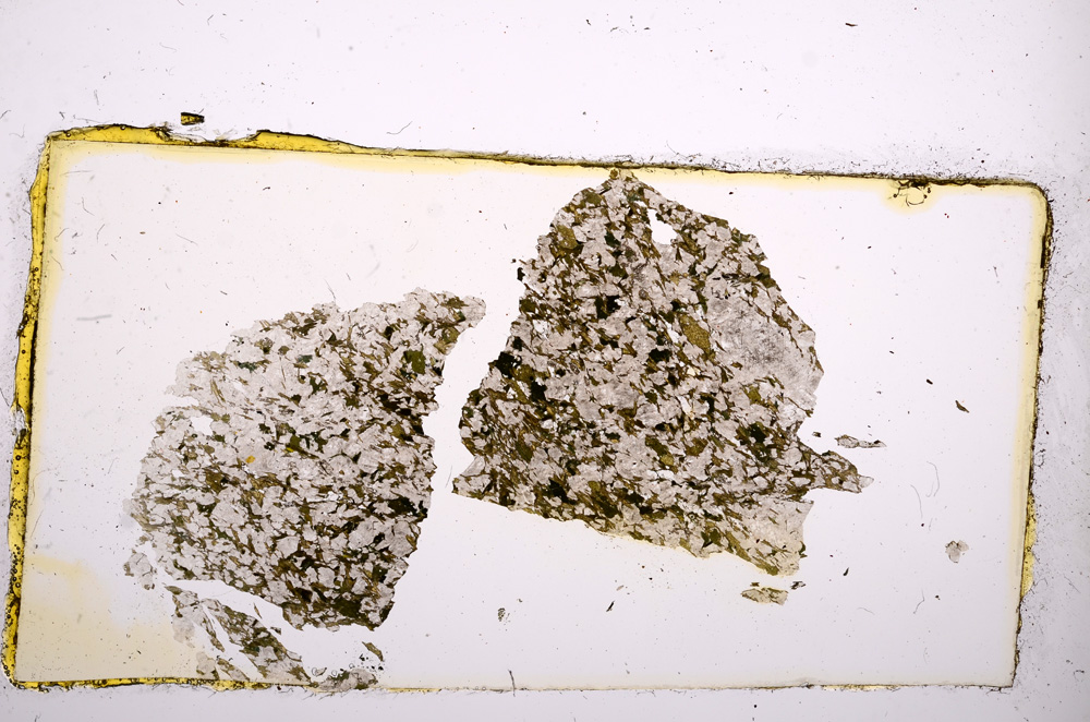 Plane Polarized, E10733