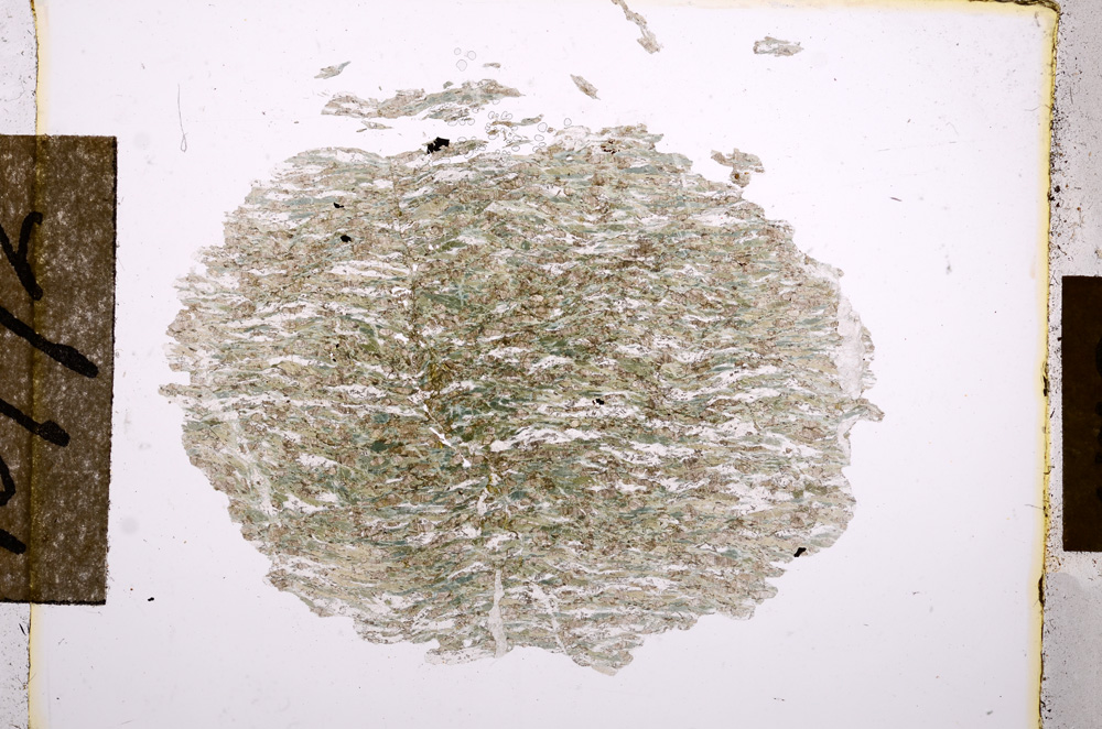 Plane Polarized, E10772