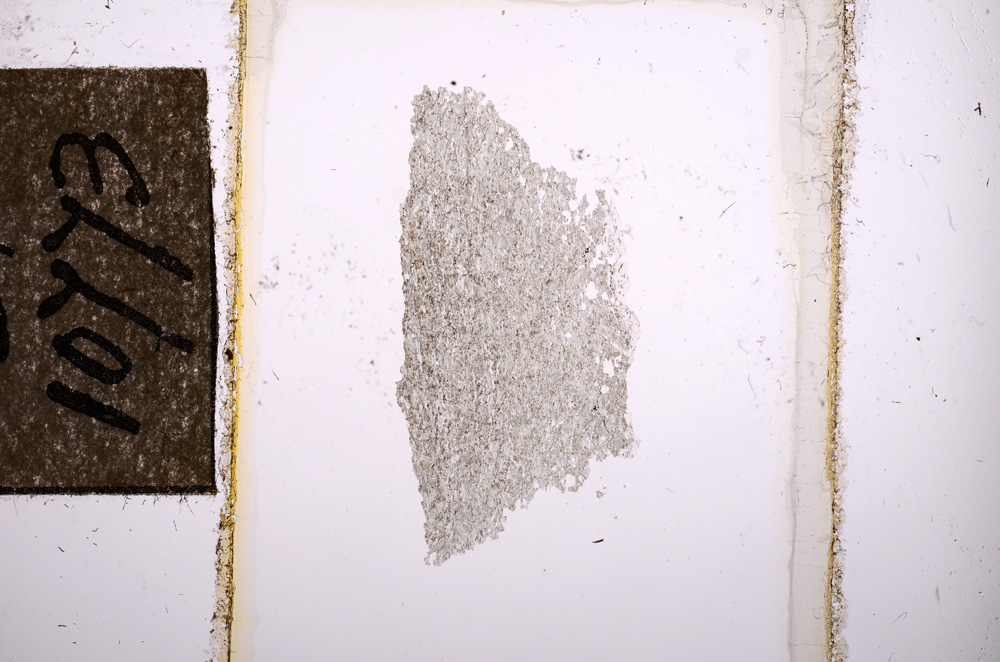 Plane Polarized, E10773