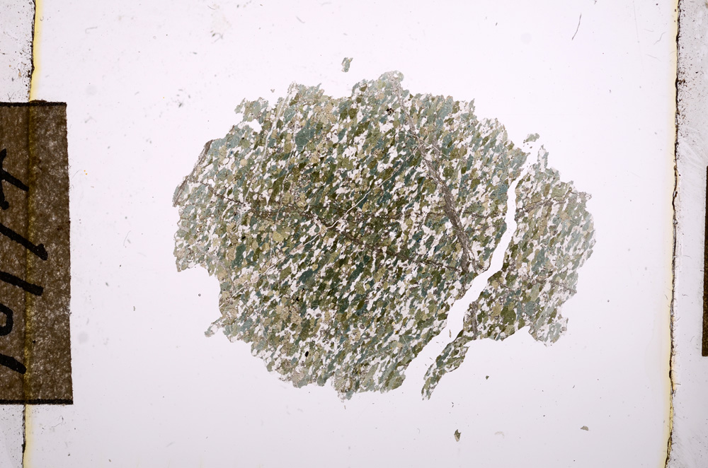 Plane Polarized, E10774