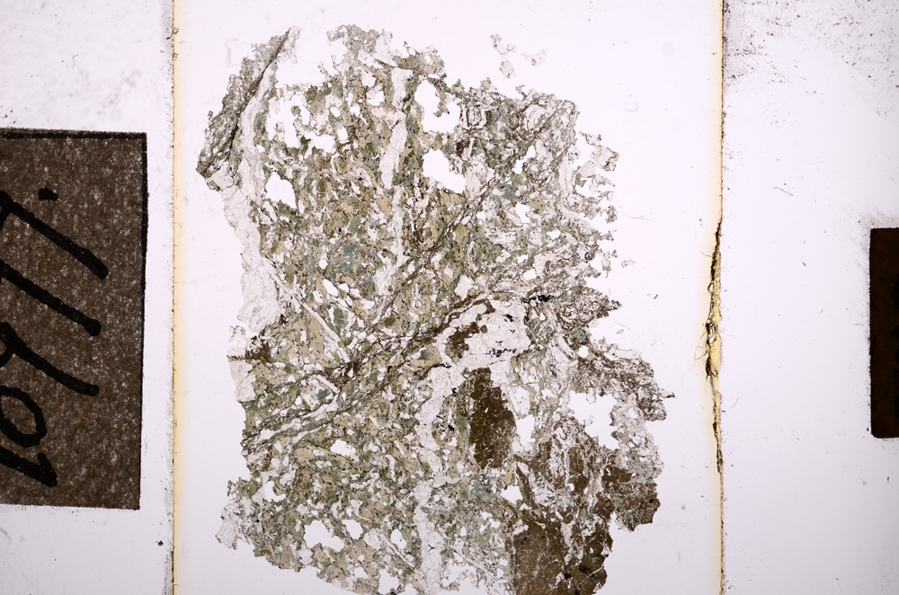 Plane Polarized, E10777