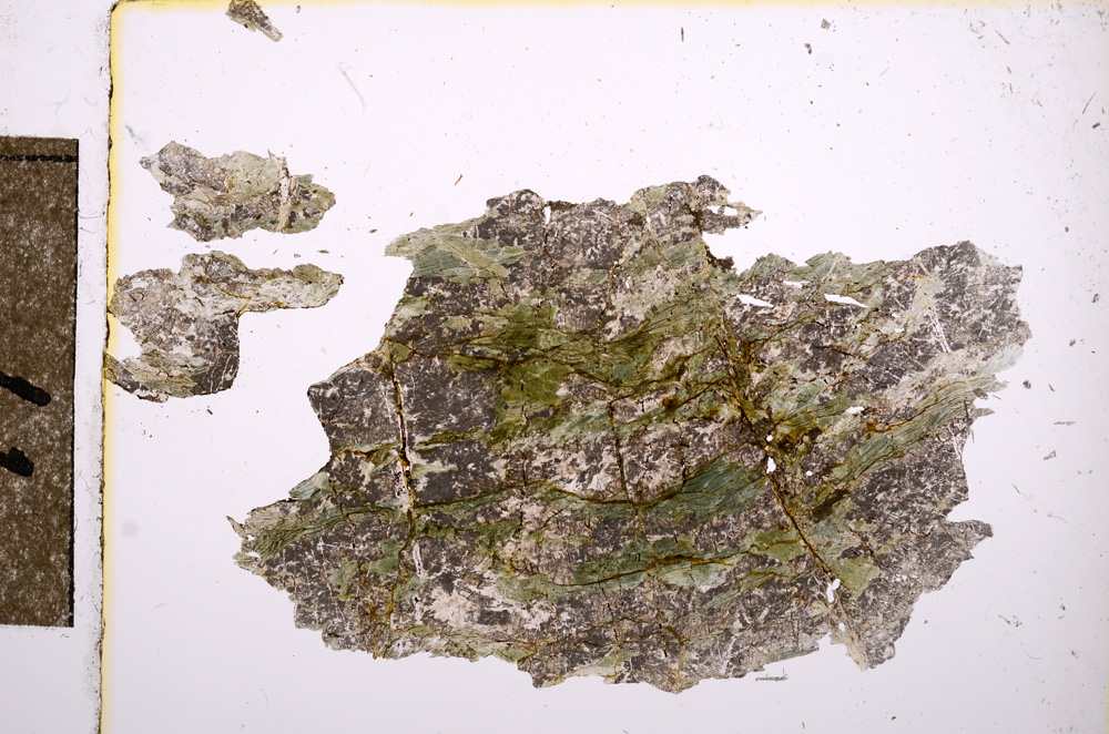 Plane Polarized, E10778