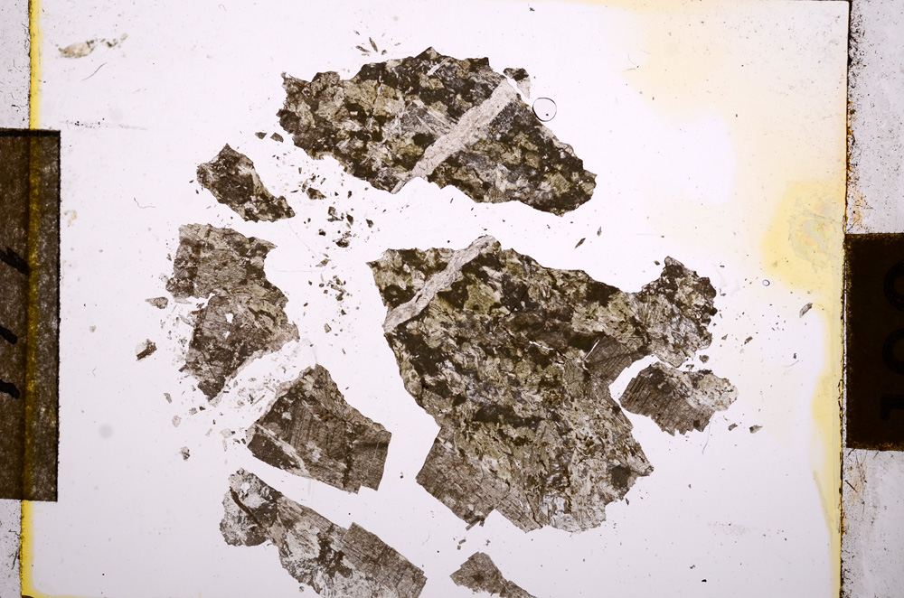 Plane Polarized, E10779