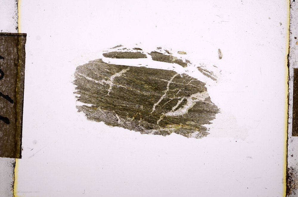 Plane Polarized, E10790