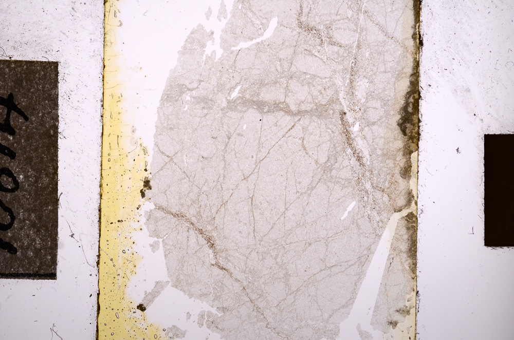 Plane Polarized, E10814