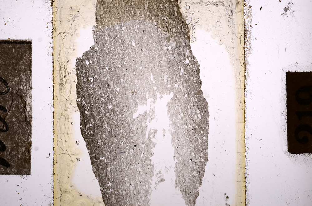 Plane Polarized, E10818