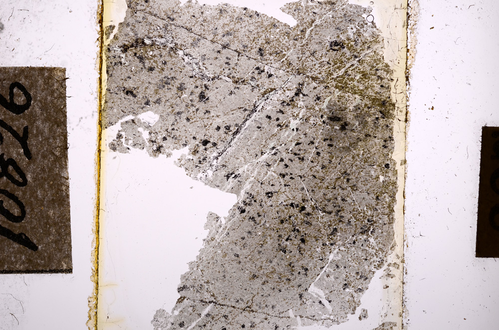 Plane Polarized, E10826