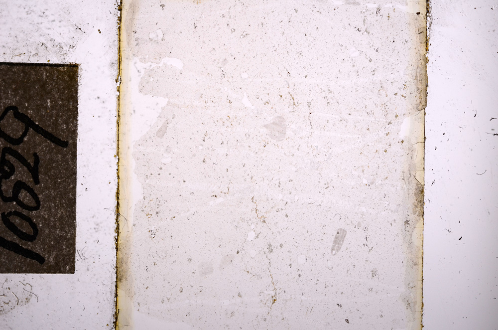 Plane Polarized, E10829