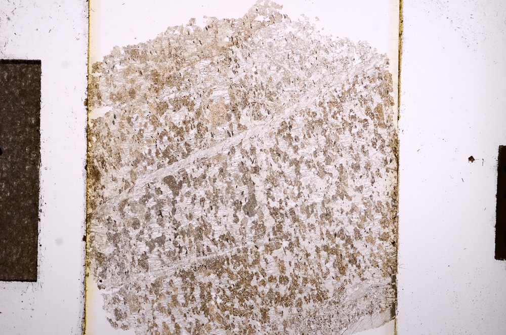 Plane Polarized, E10840