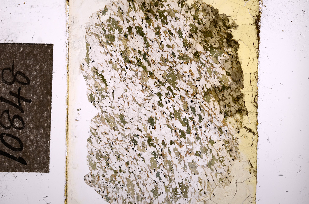 Plane Polarized, E10848