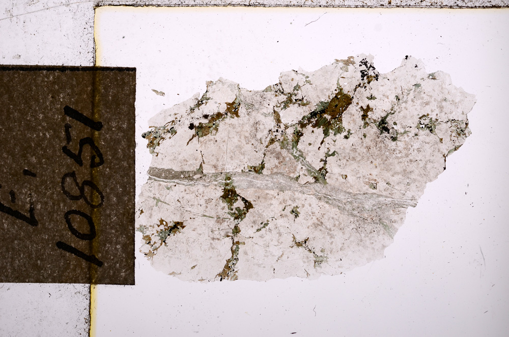 Plane Polarized, E10851