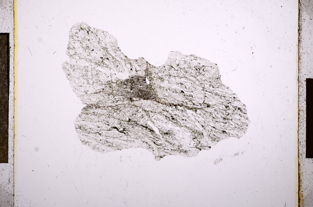 Plane Polarized, E10852
