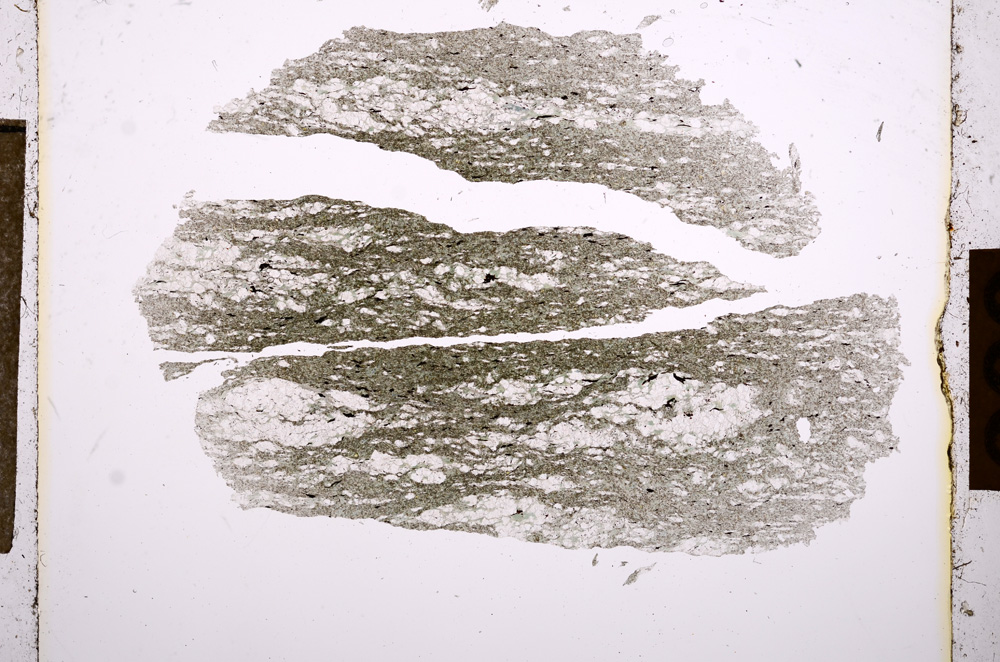 Plane Polarized, E10898