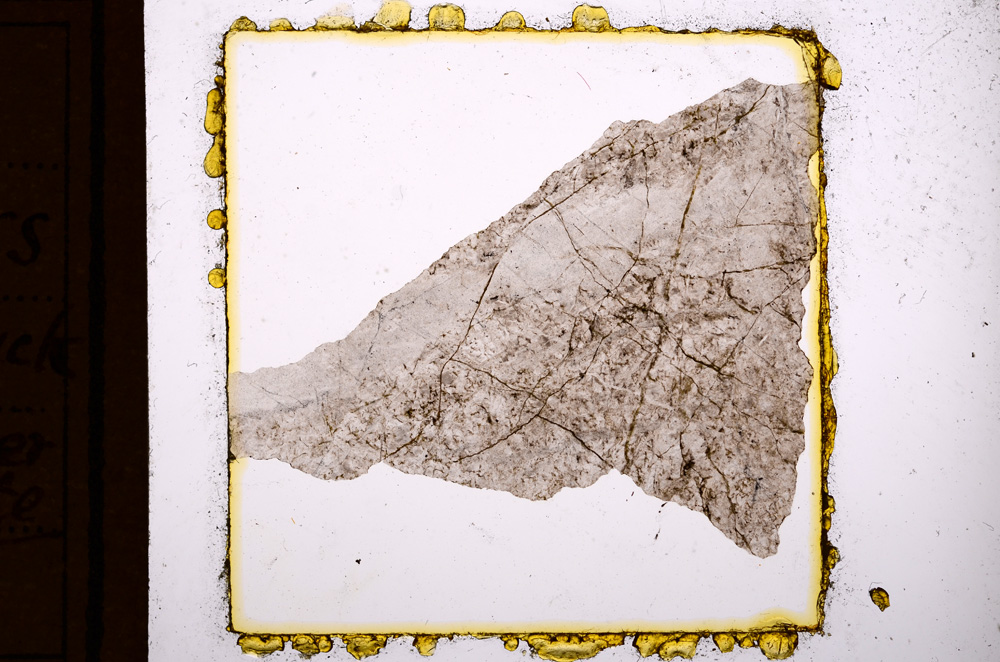 Plane Polarized, E10927
