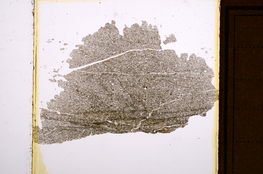 Plane Polarized, E10935