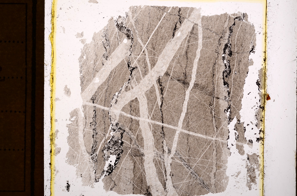 Plane Polarized, E10944