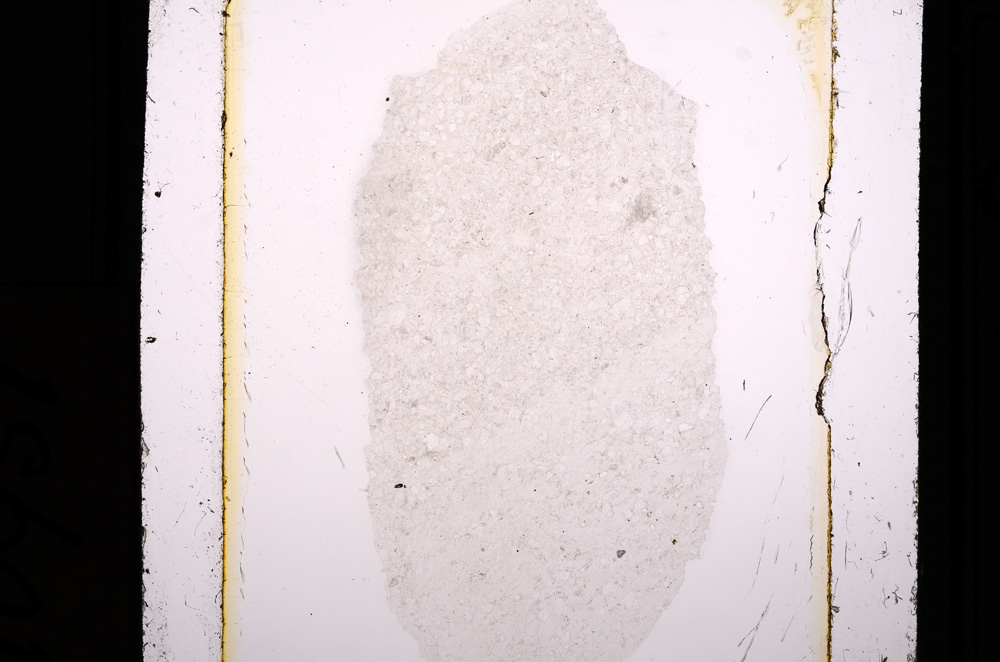 Plane Polarized, E10951