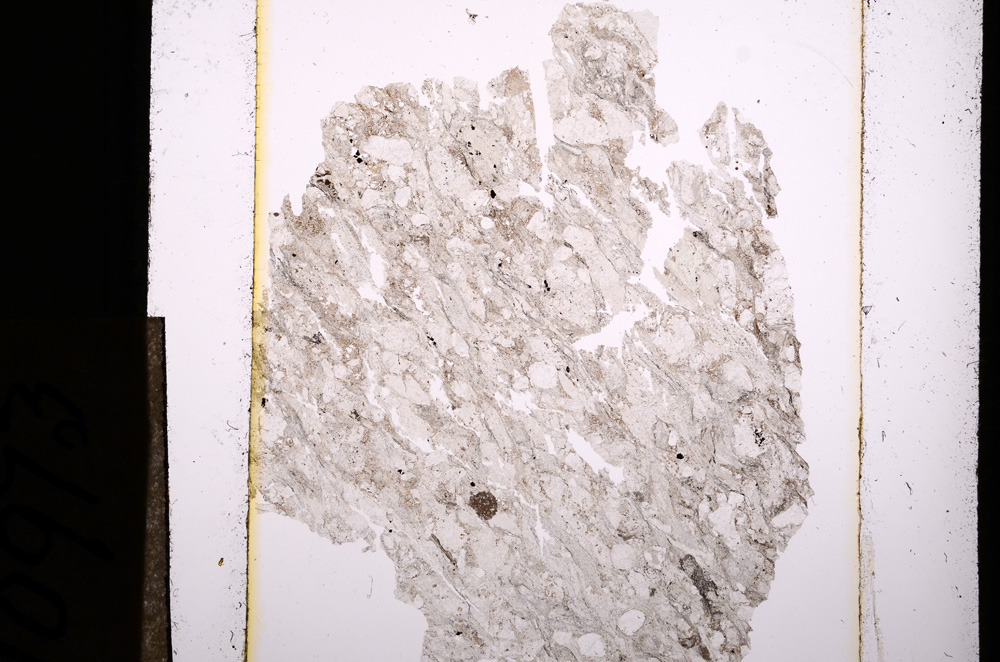 Plane Polarized, E10973
