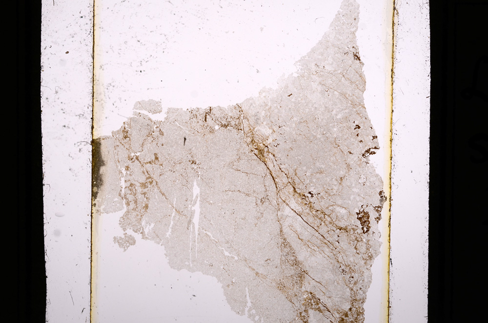 Plane Polarized, E10980