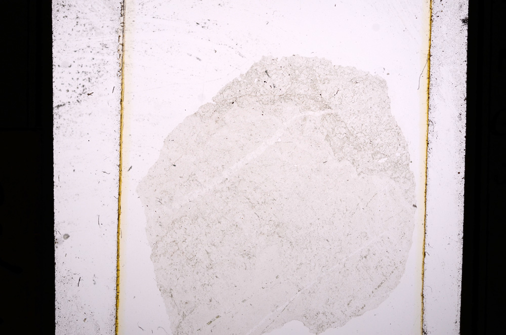 Plane Polarized, E10983
