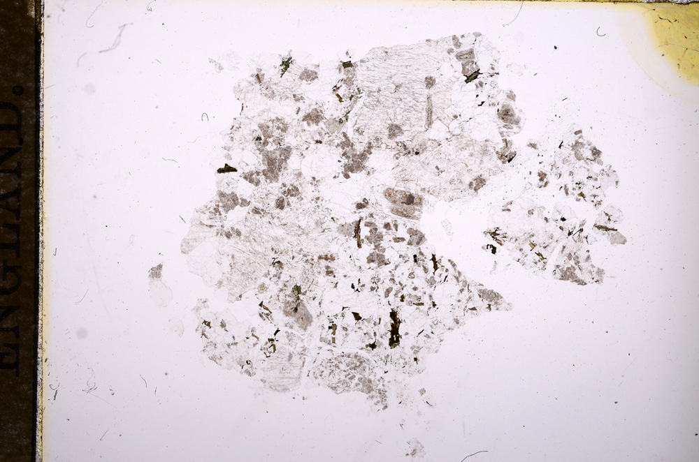 Plane Polarized, E11089