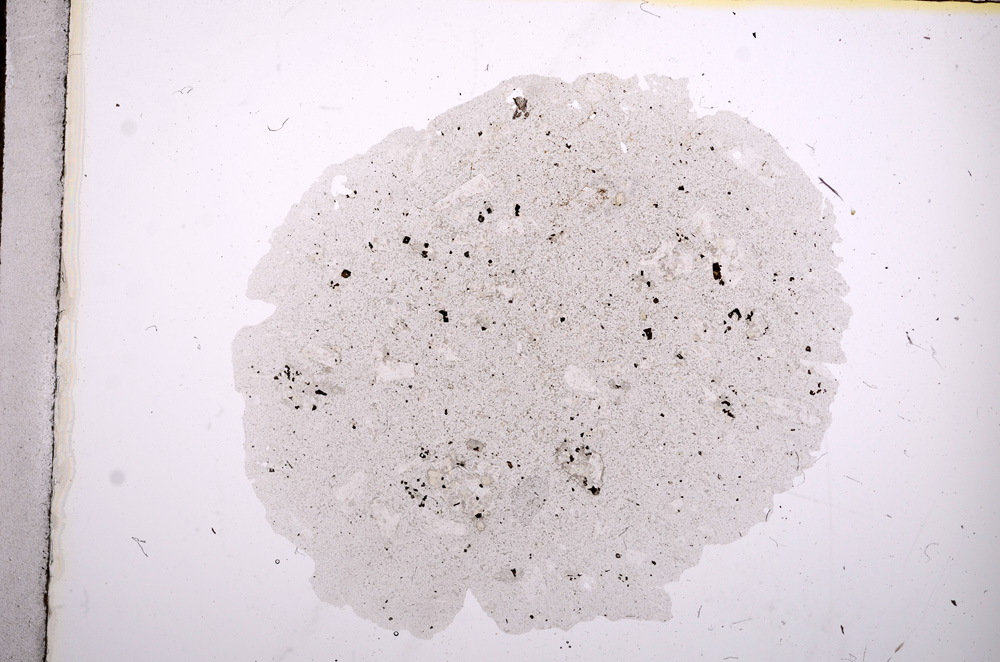 Plane Polarized, E11228