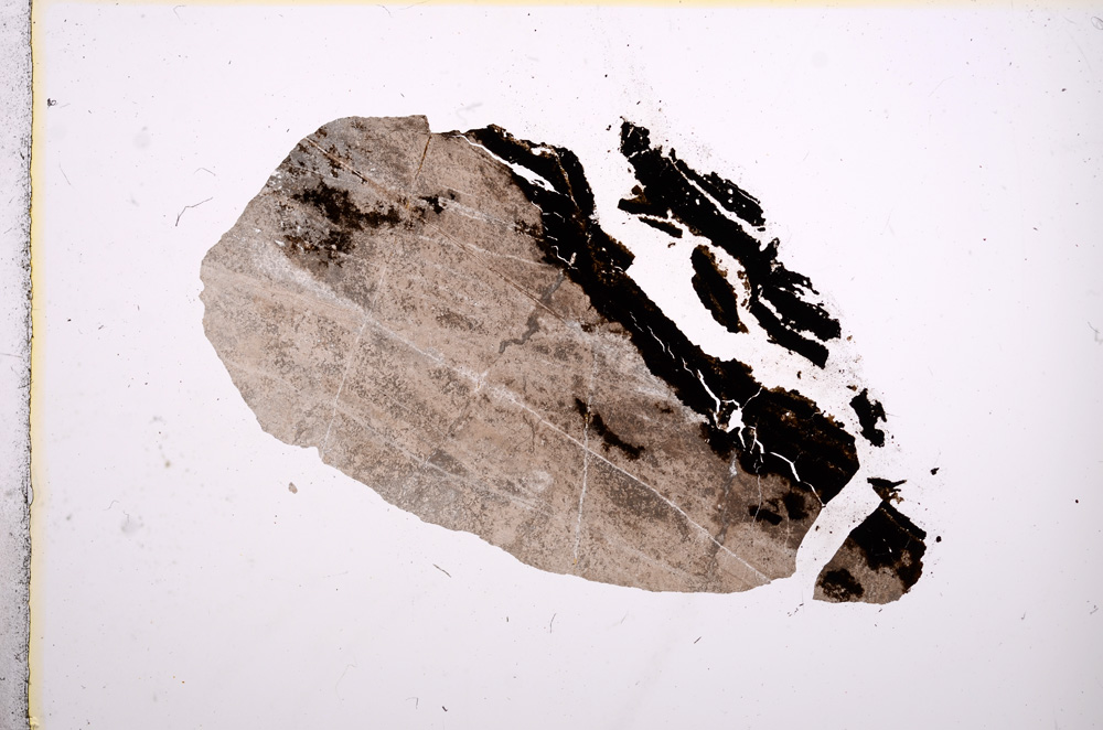 Plane Polarized, E11244