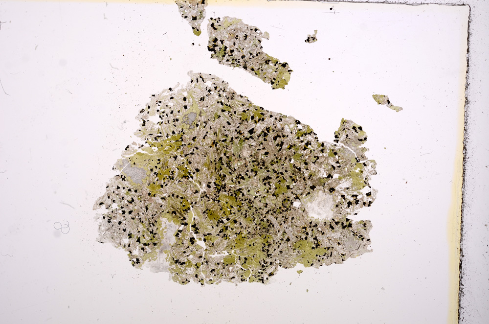 Plane Polarized, E11318