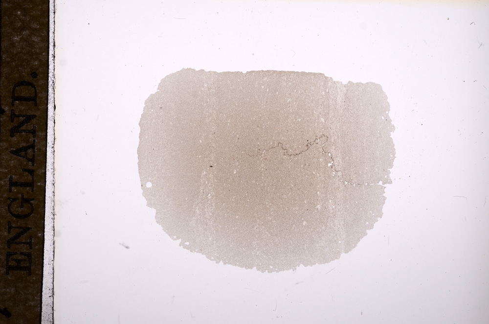 Plane Polarized, E11357