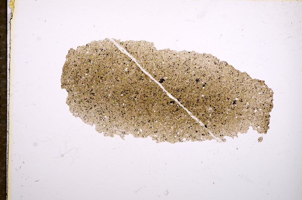 Plane Polarized, E11367