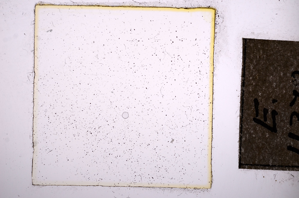 Plane Polarized, E11374