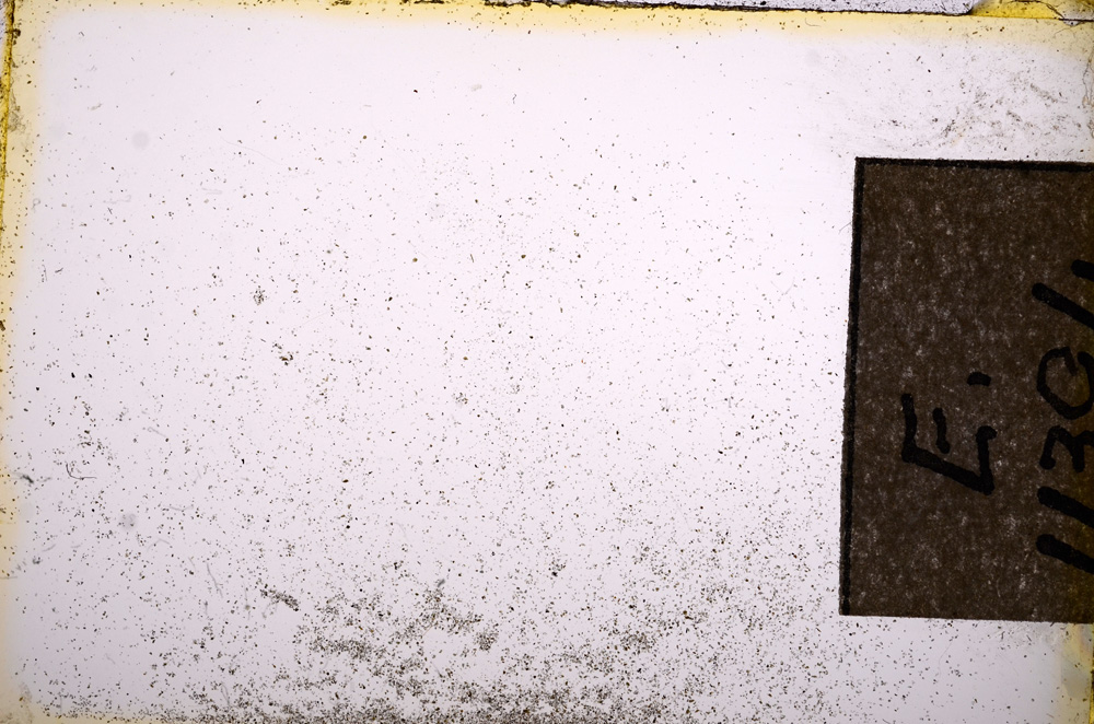 Plane Polarized, E11394