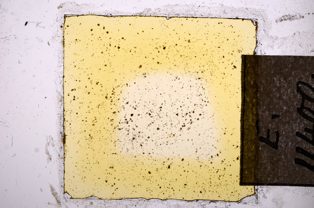 Plane Polarized, E11400