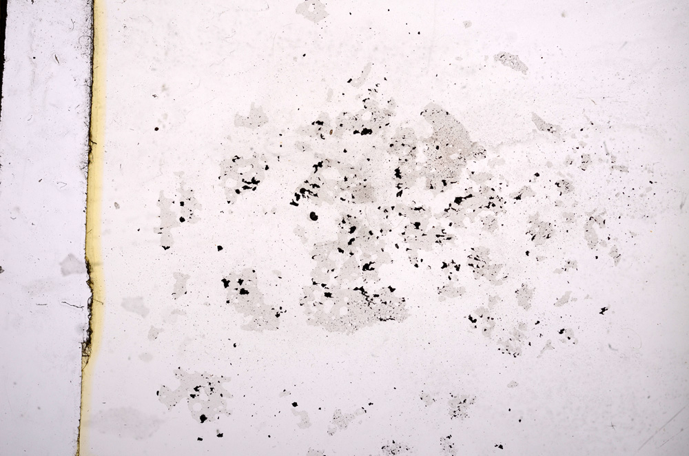 Plane Polarized, E11468