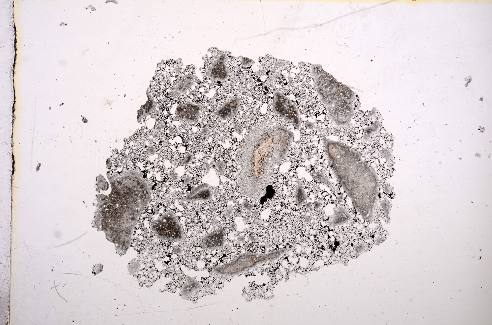 Plane Polarized, E11470