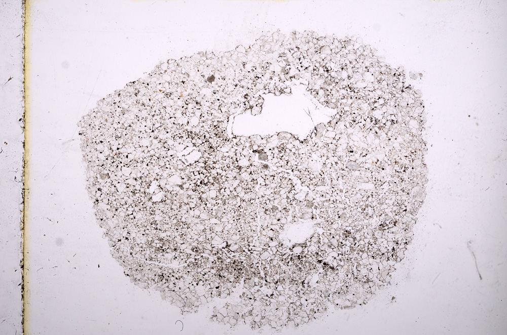 Plane Polarized, E11486