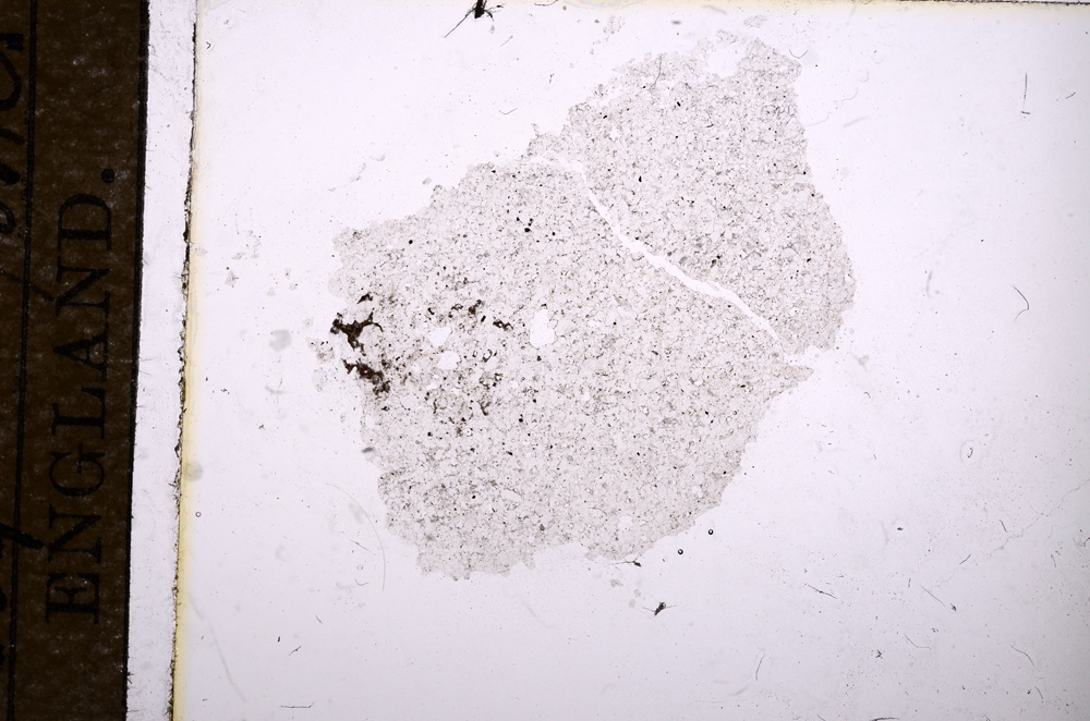 Plane Polarized, E11487