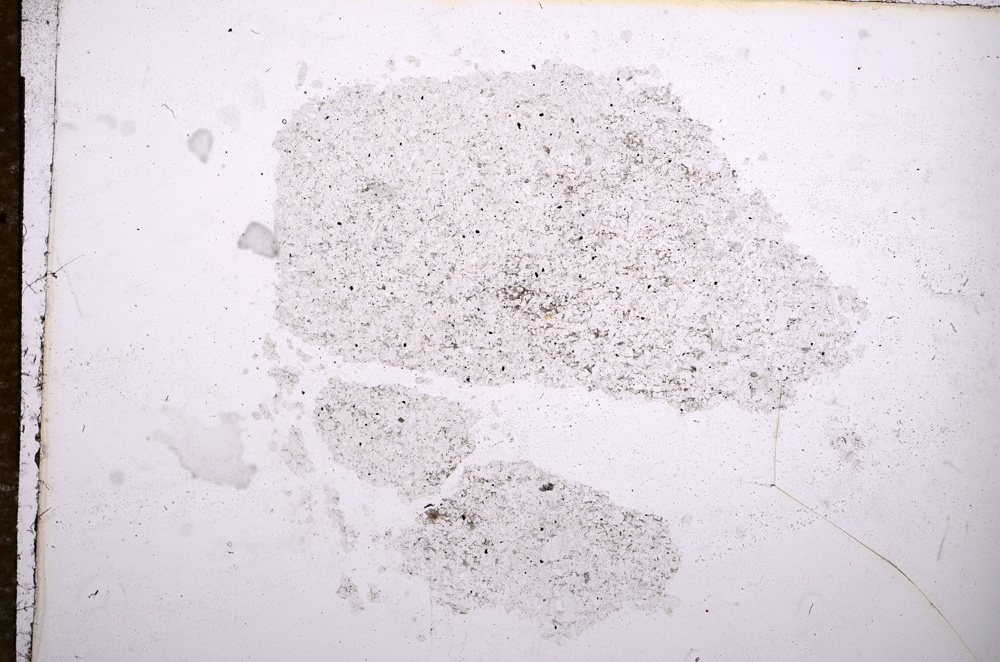 Plane Polarized, E11488