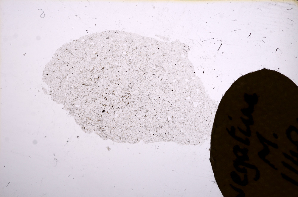 Plane Polarized, E11491