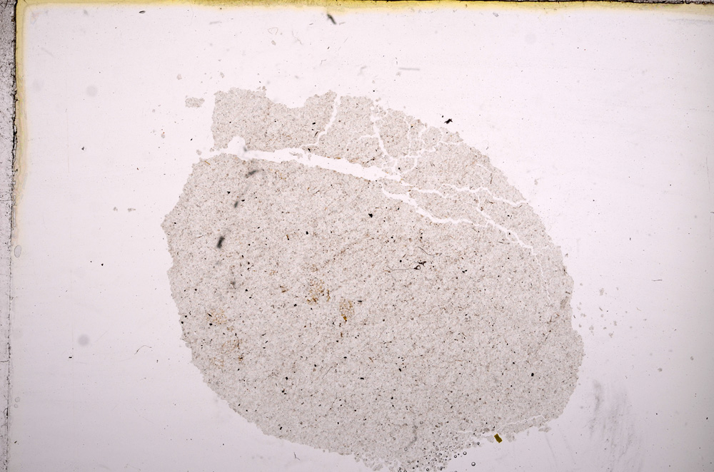 Plane Polarized, E11531