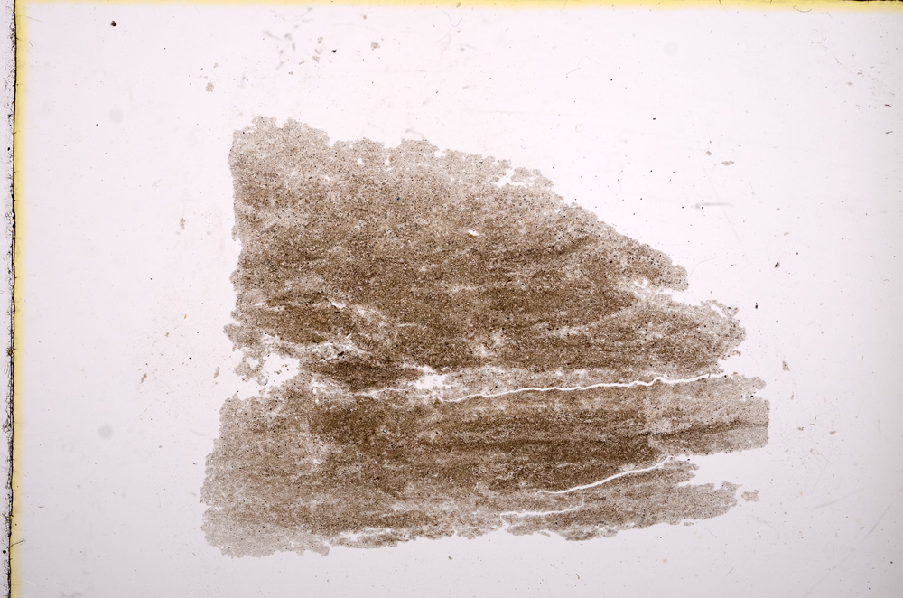 Plane Polarized, E11534